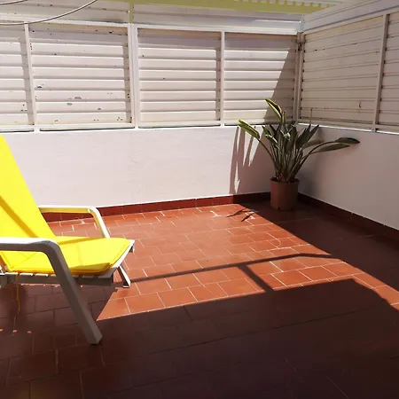 Pateo - Brand New In Apartment