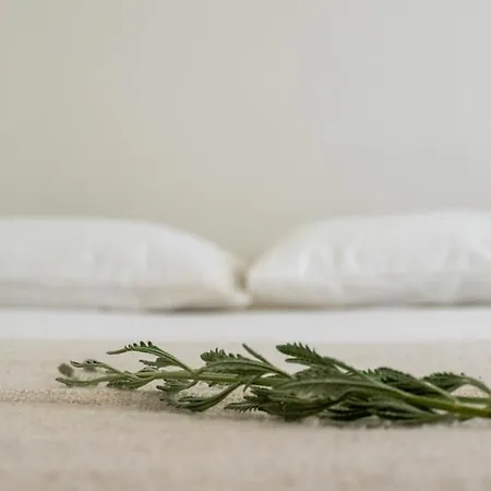 Pateo - Brand New In Appartement