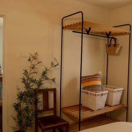 Pateo - Brand New In