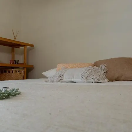 Pateo - Brand New In