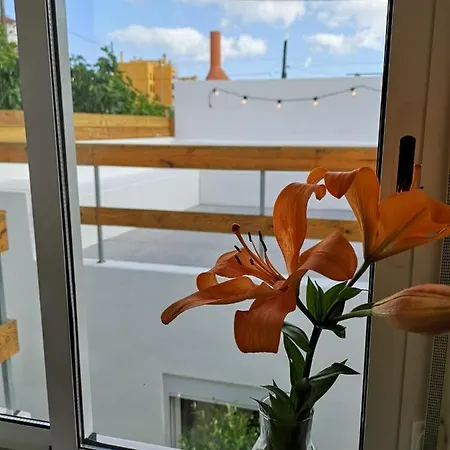 Apartamento Pateo - Brand New In