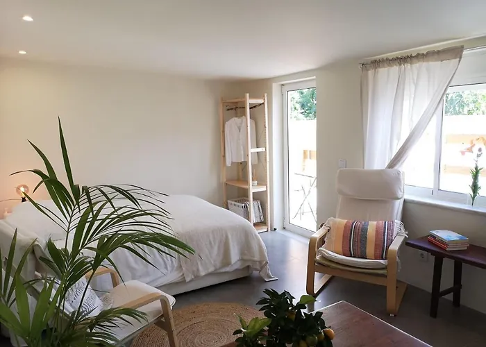 Pateo - Brand New In Appartement *