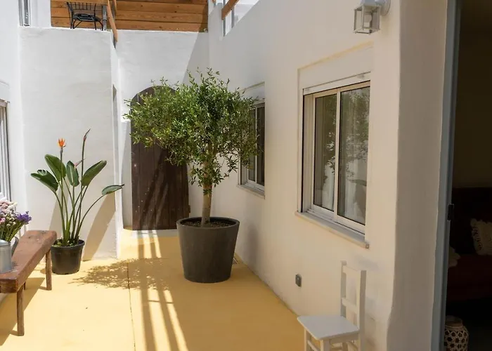 Pateo - Brand New In Appartement *